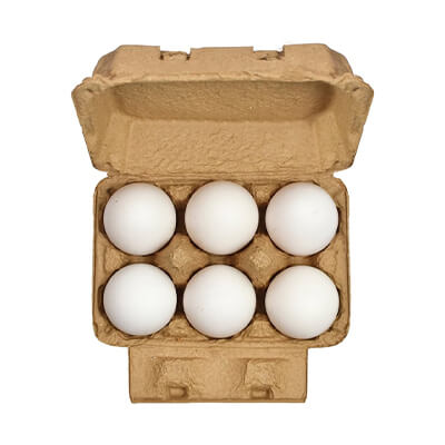 Fresh Eggs